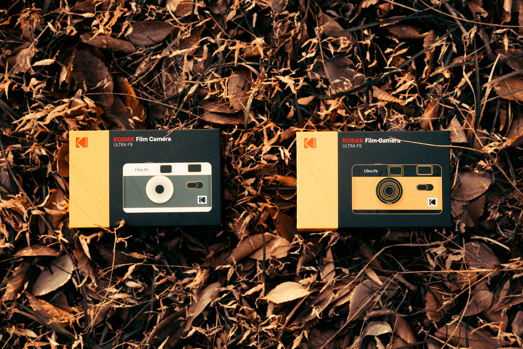 kakaotalk 20250114 110010970 02