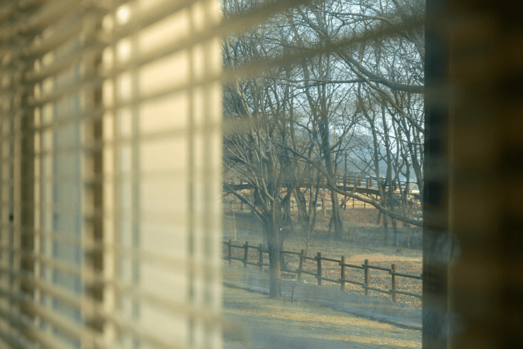 보너스1 밝기 1