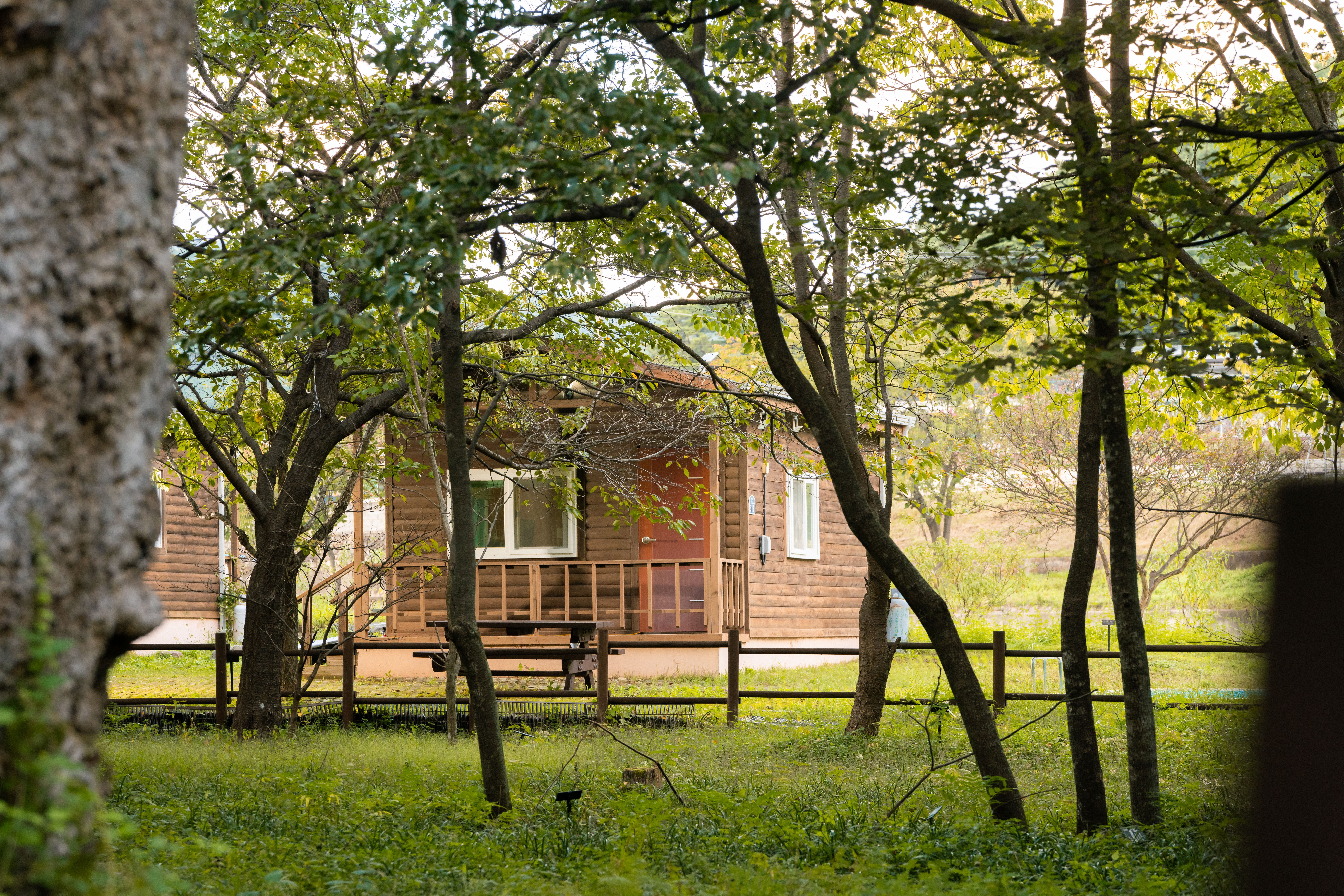 숲스테이외관